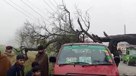 Kallar Syedan; Falling Tree Damages Passenger Vehicle on Kallar Syedan–Dhuangali Road
