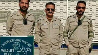 Kallar Syedan: Wildlife Department Imposes Over Rs 0.55 Million in Fines