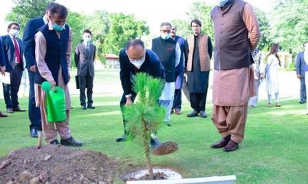 Kahuta: Pak-China Friendship Tree Plantation Drive Launched, 5,000 Trees Planned