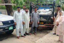 Kahuta: Attempt to Smuggle Medicinal Plants Worth Millions Foiled