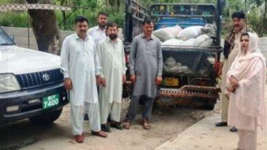 Kahuta: Attempt to Smuggle Medicinal Plants Worth Millions Foiled