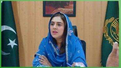 Kallar Syedan to Launch Free Vegetable Farming, Boost Tourism
