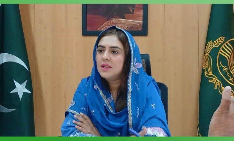 Kallar Syedan to Launch Free Vegetable Farming, Boost Tourism
