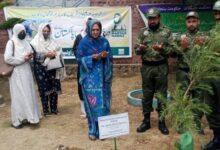 Kallar Syedan; Monsoon Tree Plantation Drive Accelerates in Kanoha School