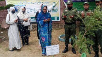 Kallar Syedan; Monsoon Tree Plantation Drive Accelerates in Kanoha School