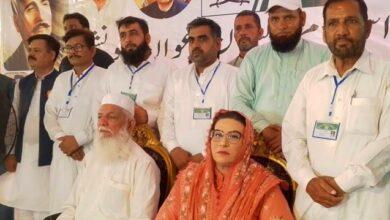 Kallar Syedan: Stability Pakistan Awan Convention Held
