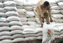 Kallar Syedan: Artificial Wheat Shortage Drives Flour Prices Beyond Public’s Purchasing Power