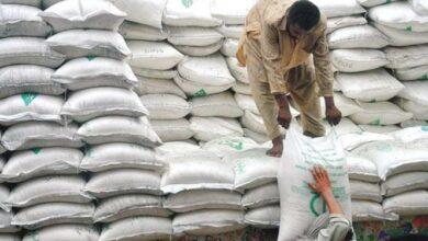 Kallar Syedan: Artificial Wheat Shortage Drives Flour Prices Beyond Public’s Purchasing Power