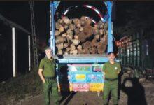 Kahuta Forest Department Seizes Truck Loaded with Sheesham Wood