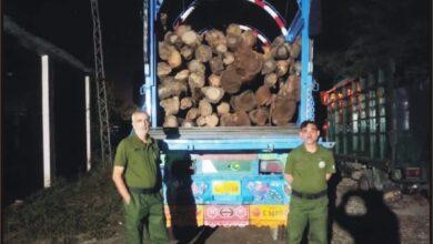Kahuta Forest Department Seizes Truck Loaded with Sheesham Wood Kahuta Forest Department Seizes Truck Loaded with Sheesham Wood